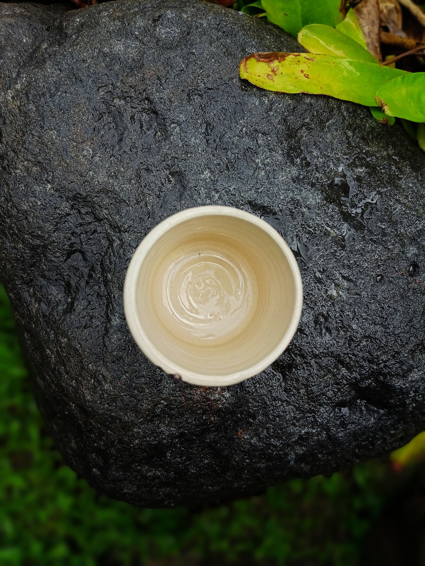 Sundaram Puspa Mug